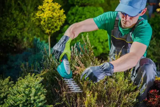 landscaping services Doolittle